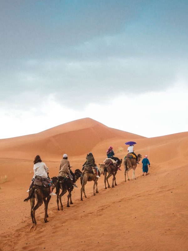 explore morocco travel