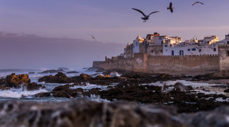 essaouira-view